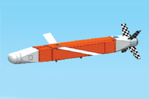 Smart Anti-Airfield Weapon (SAAW)