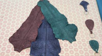 Image of Leather Fabric and a Process for its Preparation