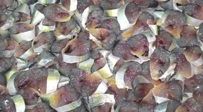 Image of Salt Fermented Indian Mackerel