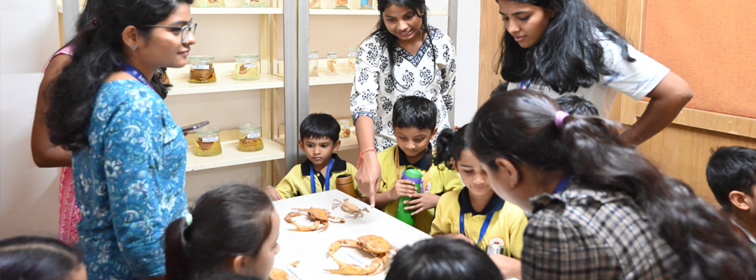 Aquatic Biodiversity Museum and Repository Image4