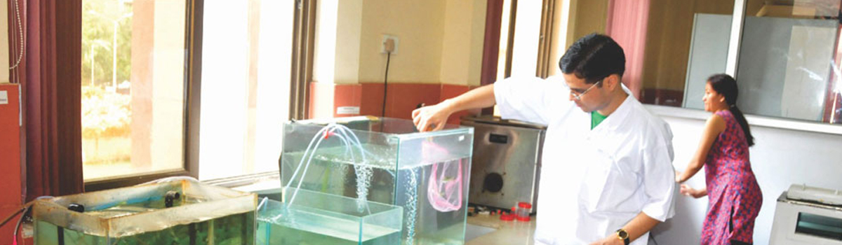 The present division of Fish Nutrition, Biochemistry & Physiology 