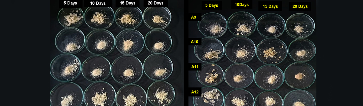 Fisheries Resources, Harvest & Post-Harvest Management Division