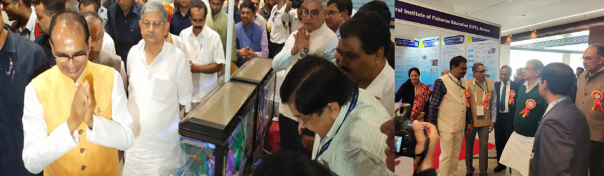 Fisheries Economics, Extension & Statistics Division