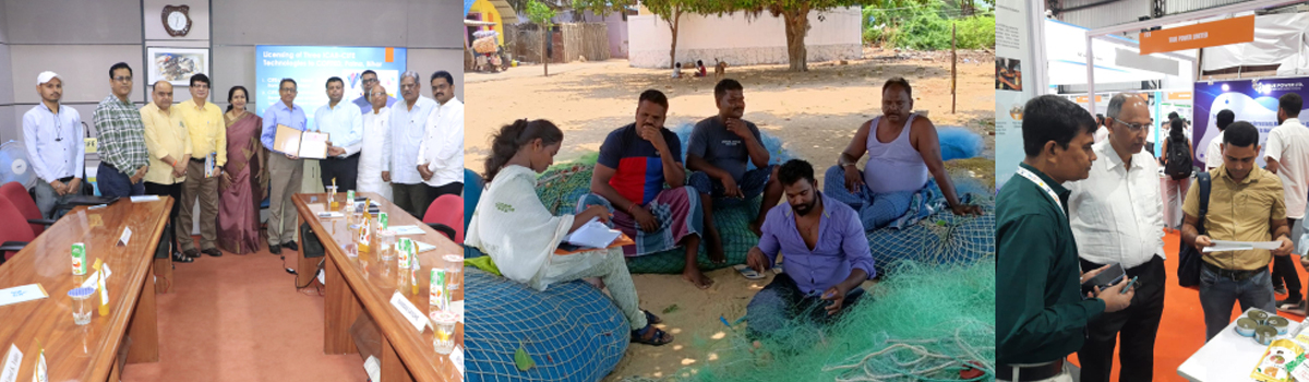 Fisheries Economics, Extension & Statistics Division