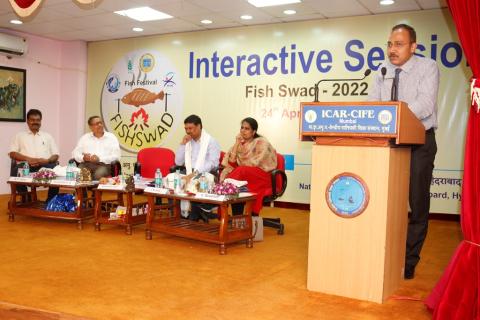 Fish Festival FISHSWAD Image 3