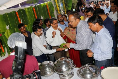 Fish Festival FISHSWAD Image 6