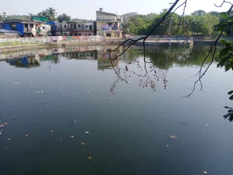 image of Swachhata Shram Daan at Harbadevi Community Pond image 1