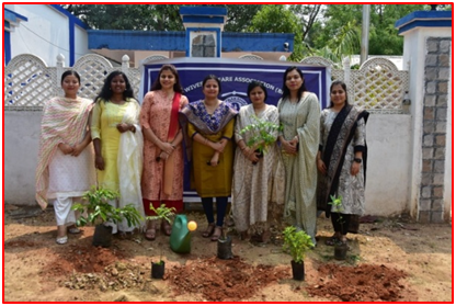Image1 of Tree Plantation Drive