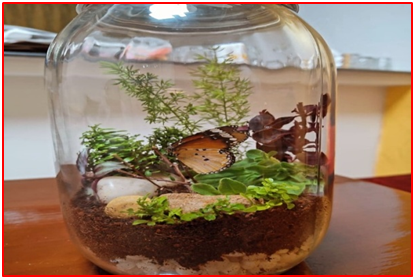 ग्लास टेरेनियम पर व्याख्यान की छवि2