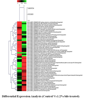 Image of Differential Expression Analysis (Control Vs 1.2%) bile treated