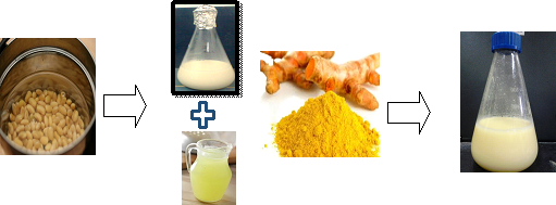 Curcumin Soy whey drink