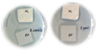 Image of Antimicrobial film