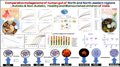 Image of Diet and Gut Microbiota