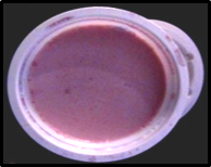 Image of Blueberry fortified probiotic Dahi