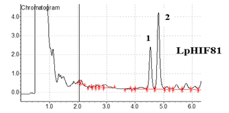 Image of Gas chromatograms of cholesterol to coprostanol bio-converters L. plantarum HIF 81