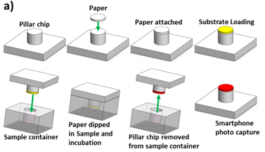 Image of Schematic of the paper-based device for detection of Beta-lactam antibiotics in milk