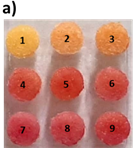 Image of Photo showing incubation of nitrocefin (1mg/mL) coated paper with different concentrations of amoxicillin (1- 0 ppb; 2 – control milk; 3- 1 ppb; 4- 2 ppb; 5- 3 ppb; 6- 4 ppb; 7- 5ppb; 8 and 9- 10 ppb)