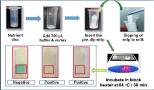 Image of Paper Strip Based concept for Detection of Antibiotic Residues in Milk