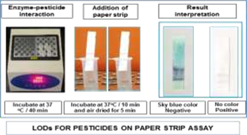 Image of Paper Strip based concept for Rapid Detection of Pesticide Residues