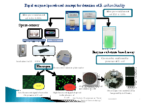 Image of Spore based concept for detection of E. coli on chip