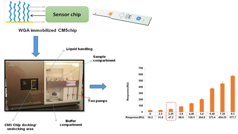 Image of Surface Plasmon Resonance based detection of Listeria monocytogenes