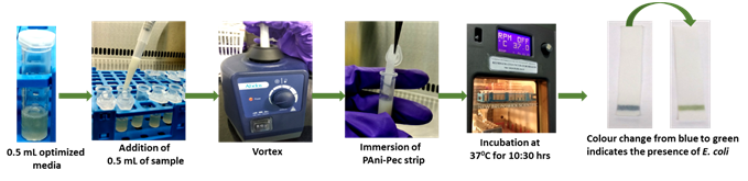 Image of Surface Plasmon Resonance based detection of Listeria monocytogenes using Wheat Germ agglutinin