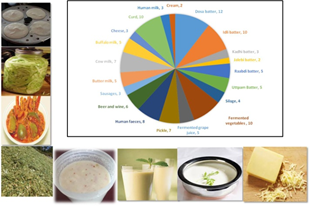 Image of Scheme on Dairy Microbes under Network Mode-VTCC