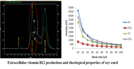 Image of Extracellular vitamin B12 production and rheological properties of soy-curd
