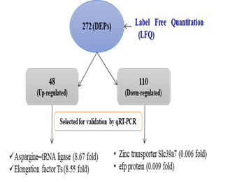 Image of Acid responsive DEPs in NCDC 400