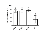 ACE Inhibitory activity