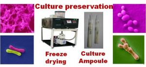 Image of National Collection of Dairy Cultures (NCDC)