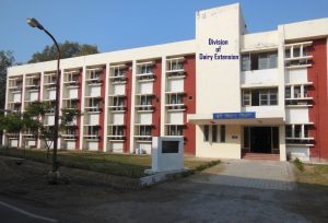 Image of Dairy Extension Division