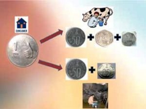 Value Chain - 2015-16