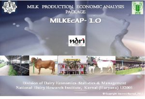 Web-enabled user friendly software