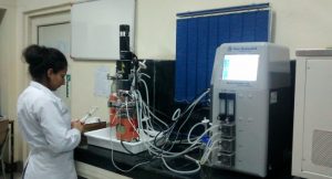 Image of Functional Fermented Foods and Bioactive Peptides: Dr. Shilpa Vij