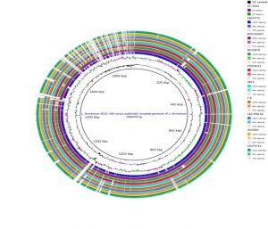 Image of Draft genome of NCDC400