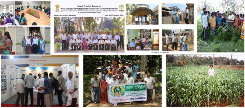 Southern Regional Station Extension Activities