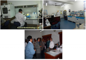 Animal Biotechnology Lab