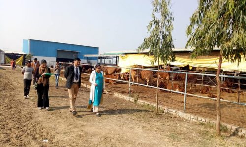 Dairy Economics Statistics and Management Image2