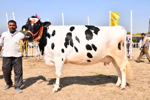 Dairy Mela 2020 Image16