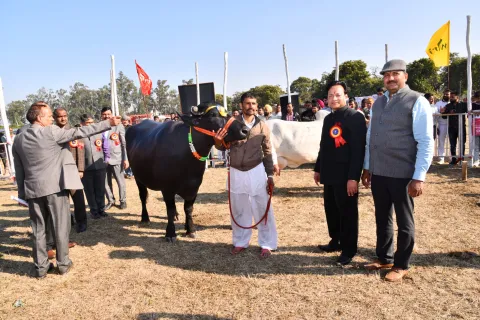 Dairy Mela 2020 Image17