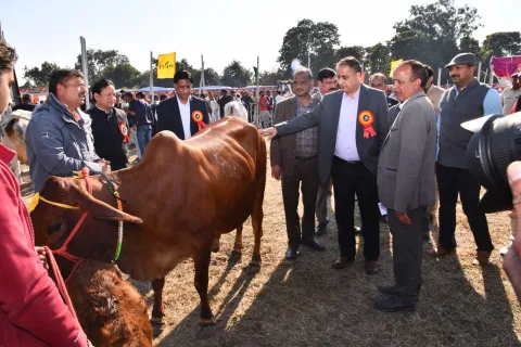 Dairy Mela 2020 Image18
