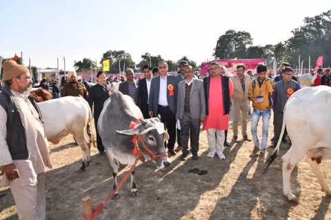 Dairy Mela 2020 Image19