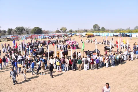 Dairy Mela 2020 Image13