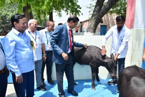 Dr. Trilochan Mohapatra, Secretary (DARE) & Director General (ICAR) Image1, and Dr. Bhupendra Nath Tripathi, Deputy Director General (Animal Science) visit ICAR-NDRI Image9