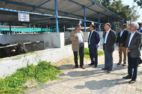 Shri Sanjay Kumar Singh, Additional Secretary (DARE) & Secretary (ICAR) Visit to NDRI Karnal Image6