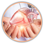 Cardio-Thoracic & Vascular Surgery - CTVS